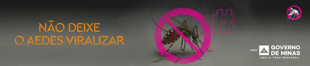 Imagem - aedes aegypti